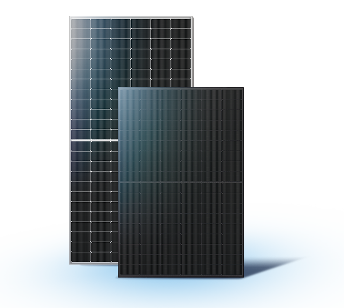 P type solar module